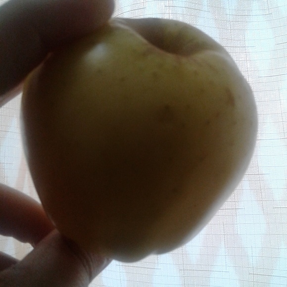 Meet your Posher, VegetableAliens - Picture 3 of 3